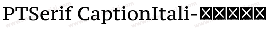 PTSerif CaptionItali字体转换